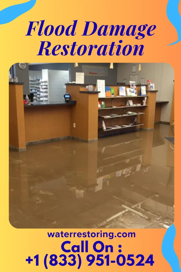 Flood Damage Restoration in Vernon, MI