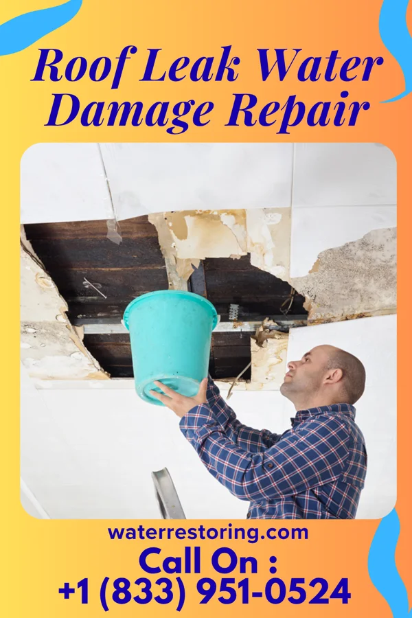 Roof Leak Water Damage Repair in Vernon, MI