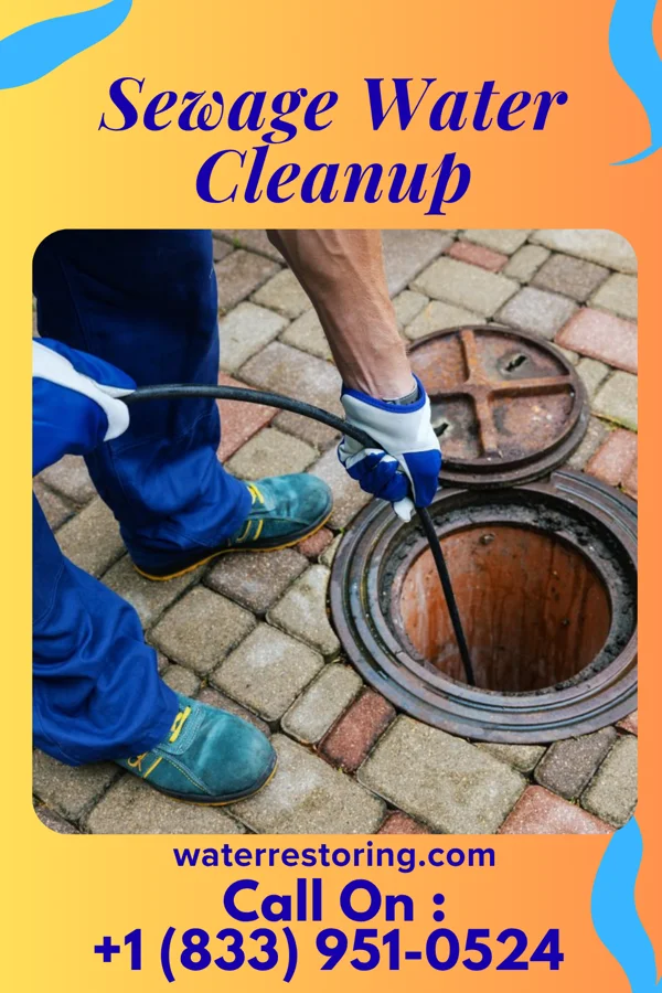 Sewage Water Cleanup in Vernon, MI