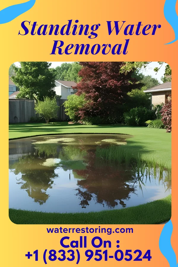 Standing Water Removal in Vernon, MI